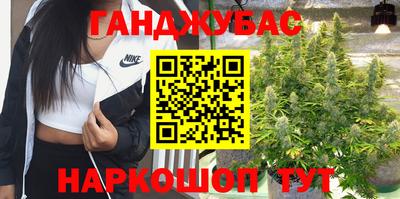 дмт Ставрополь