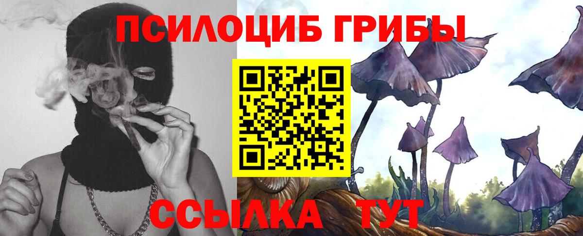 Галлюциногенные грибы GOLDEN TEACHER Осинники